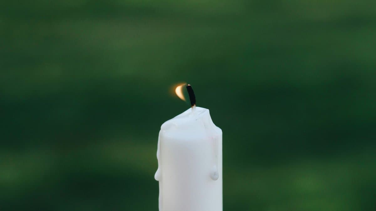 Random Bible Verse Generator | Daily Scripture & Verse of the Day ...