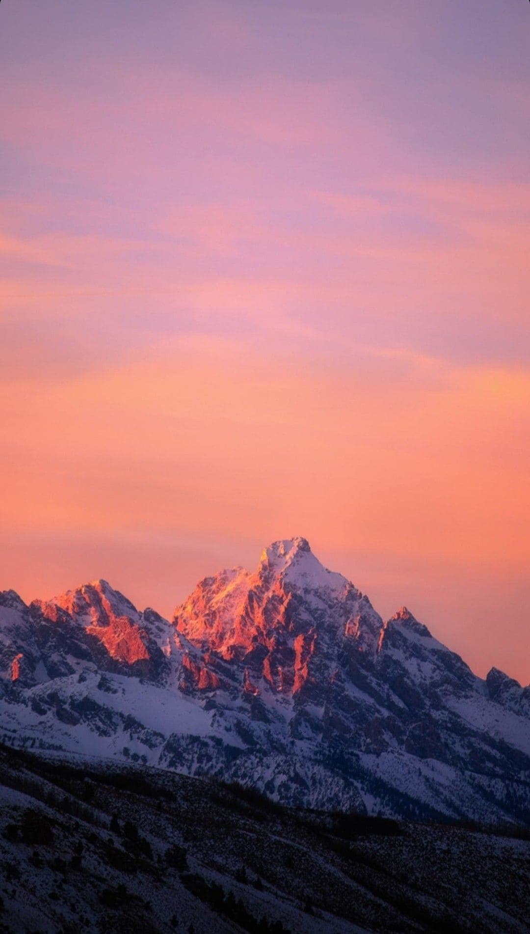 Random Bible Verse Generator | Daily Scripture & Verse of the Day ...